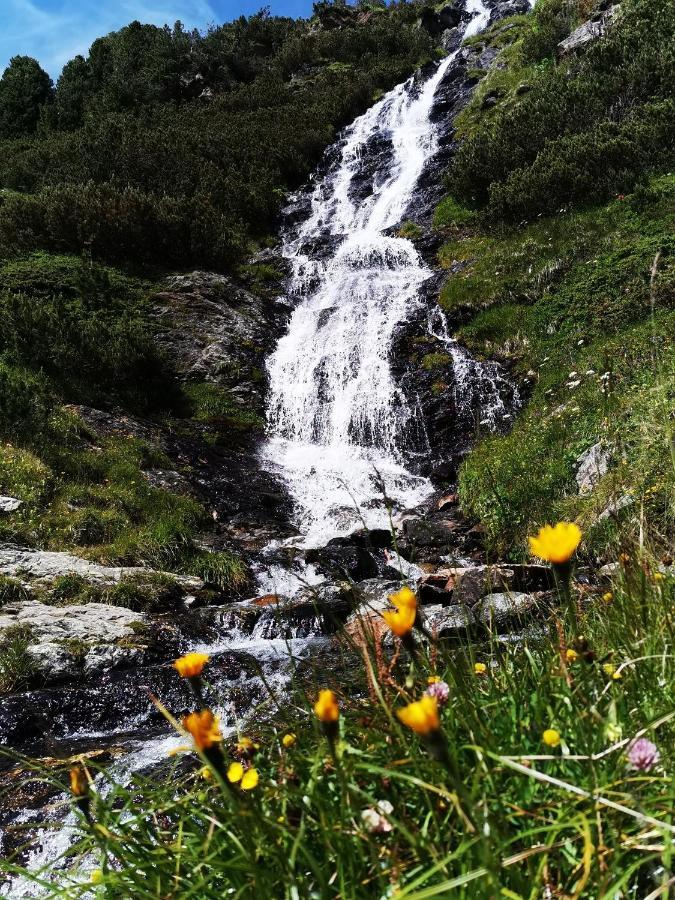 Pension Bergwelt Neustift im Stubaital Exteriör bild