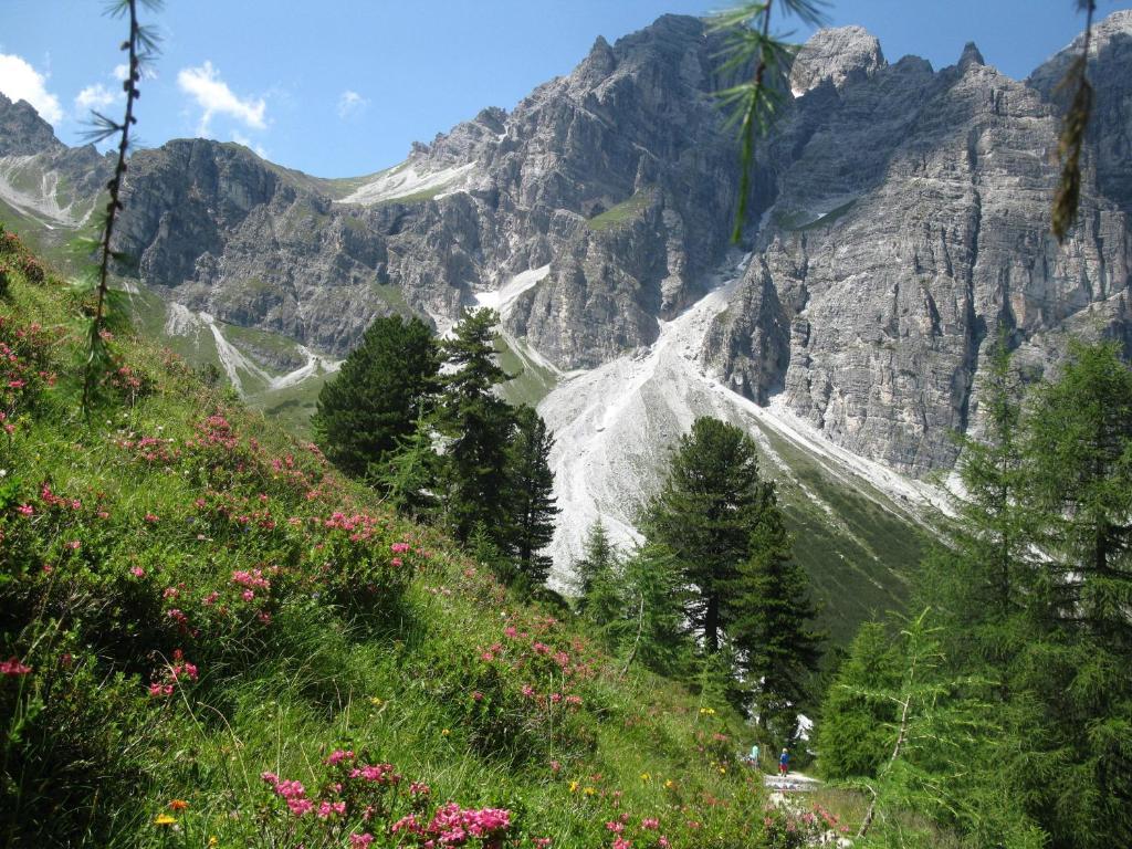 Pension Bergwelt Neustift im Stubaital Exteriör bild